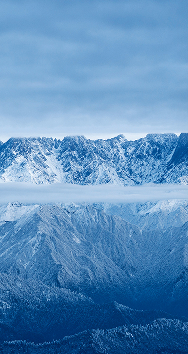 关于ag尊龙登陆入口z6mg